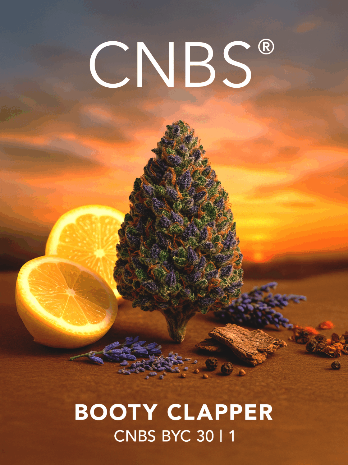 CNBS BYC 30 | 1